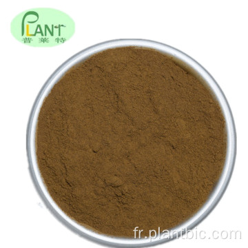 PlantBio Factory 20: 1 50: 1 100: 1 Uncria Gambier Extrait de poudre